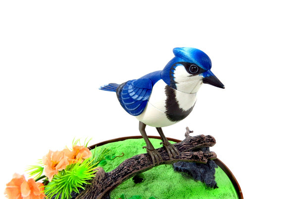 Singing & Chirping Bird In Cage - Realistic Sounds & Movements (Blue)