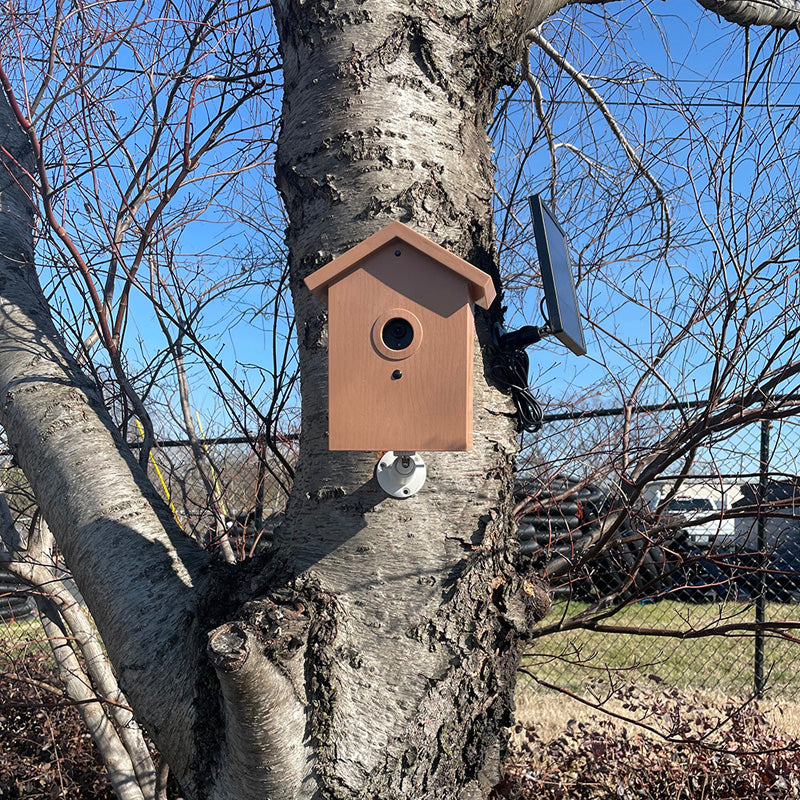 SG Xtreme Life Bird House 1080p Wi-Fi Security Camera