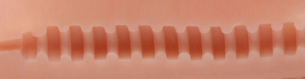 Jesse Jane Side Action Pussy and Ass Masturbator