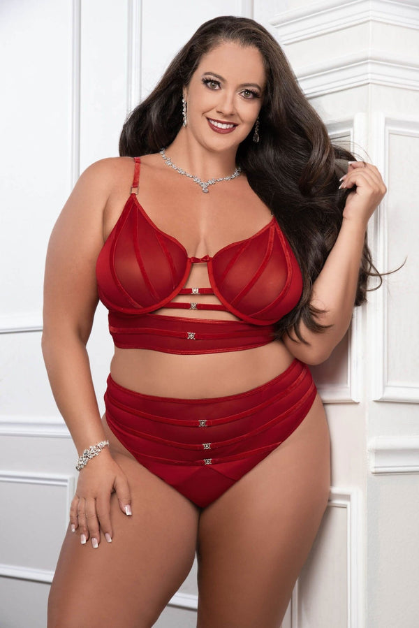 Cinnamon Red 2pc Satin Bra and High Waist Panty - Queen Size - US Stores