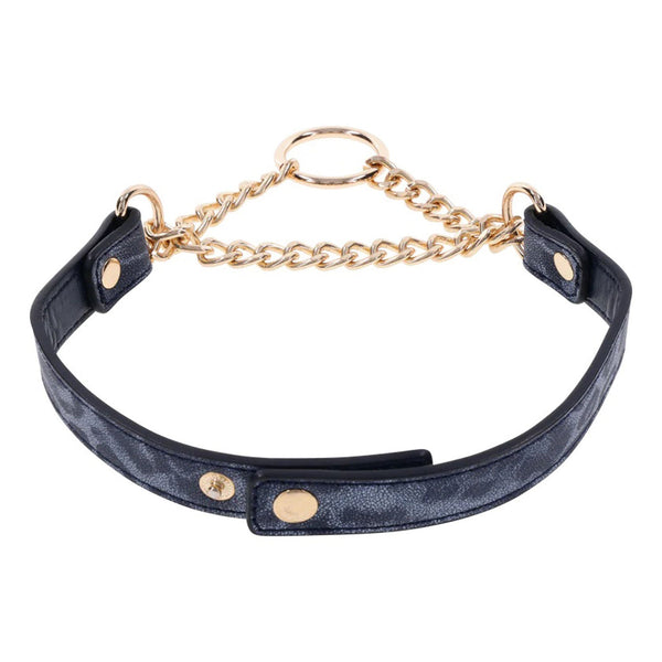 Cougar Day Collar - US Stores