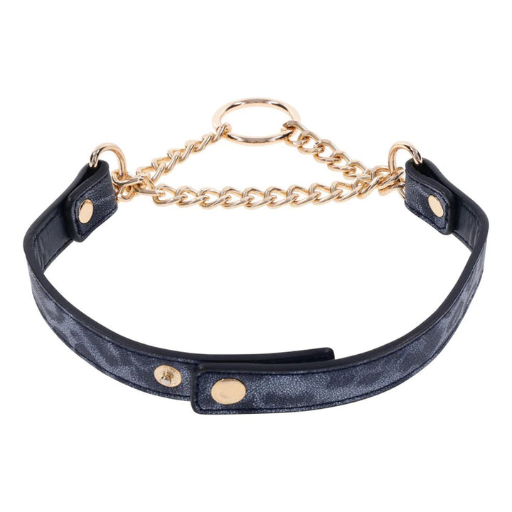 Cougar Day Collar - US Stores